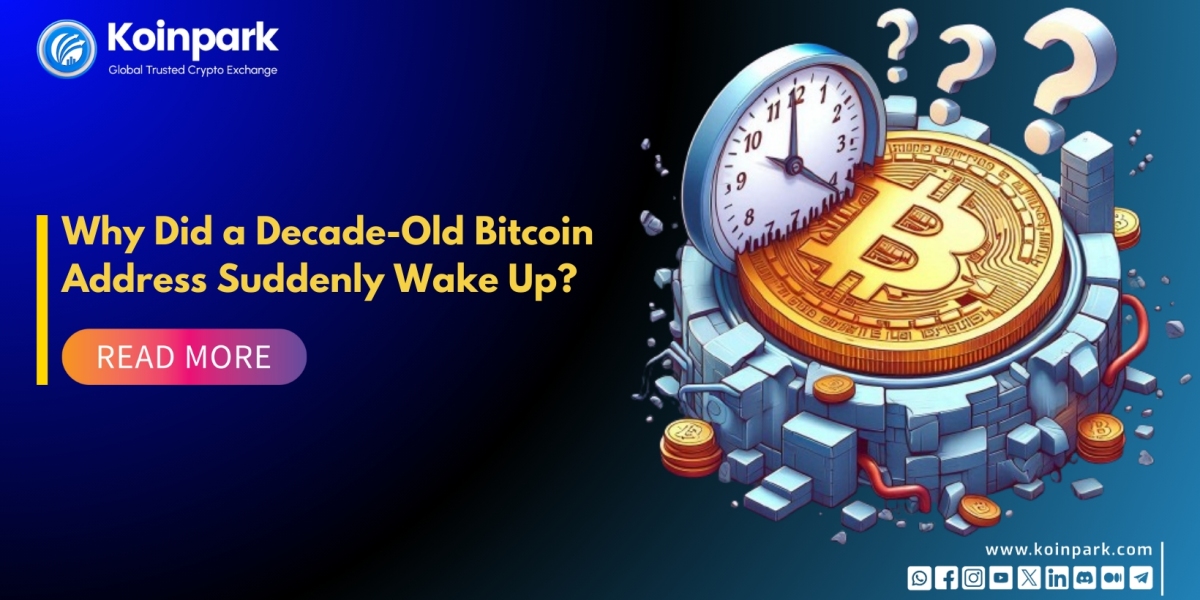 Why Did a Decade-Old Bitcoin Address Suddenly Wake Up?